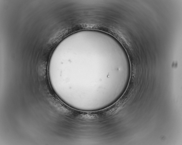 X0000089930545200707201842