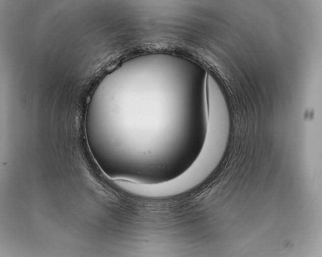 X0000089930546200707201842