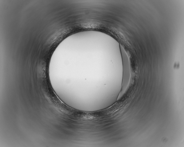 X0000089930547200707201842