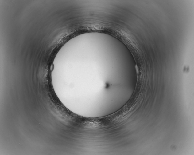 X0000089930548200707201842