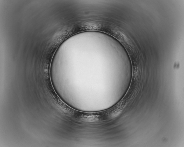 X0000089930553200707201843