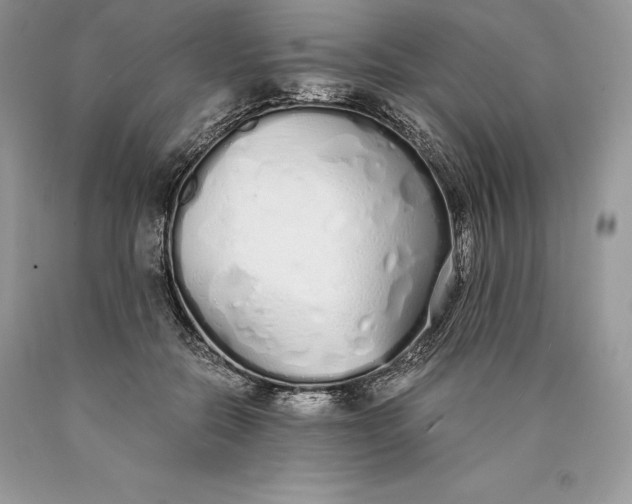 X0000089930554200707201843