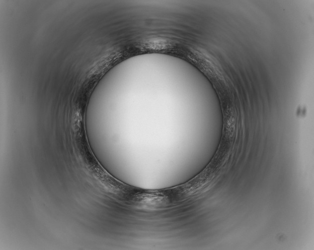 X0000089930555200707201843