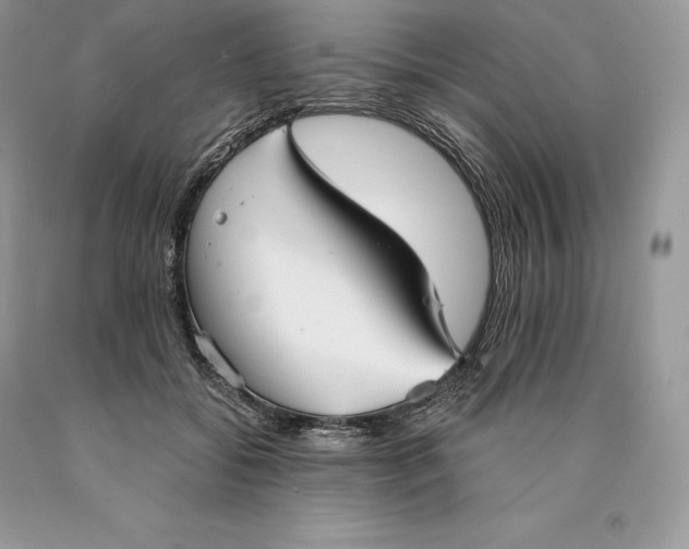 X0000089930556200707201843