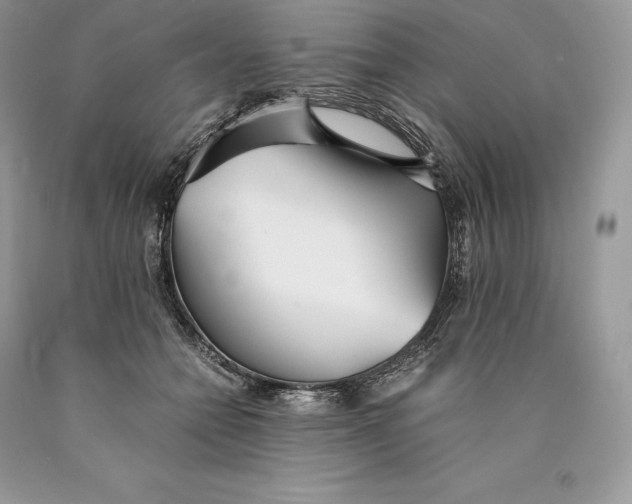 X0000089930558200707201843