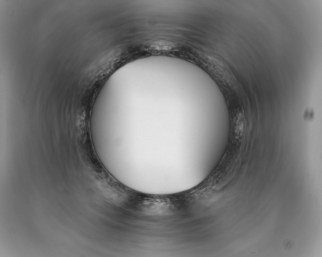 X0000089930559200707201843