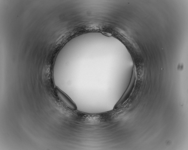 X0000089930560200707201843