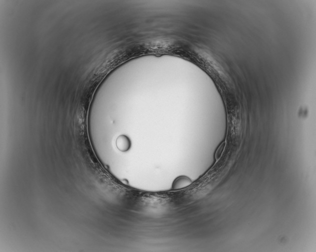 X0000089930561200707201843