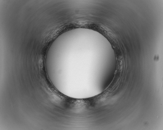 X0000089930562200707201843