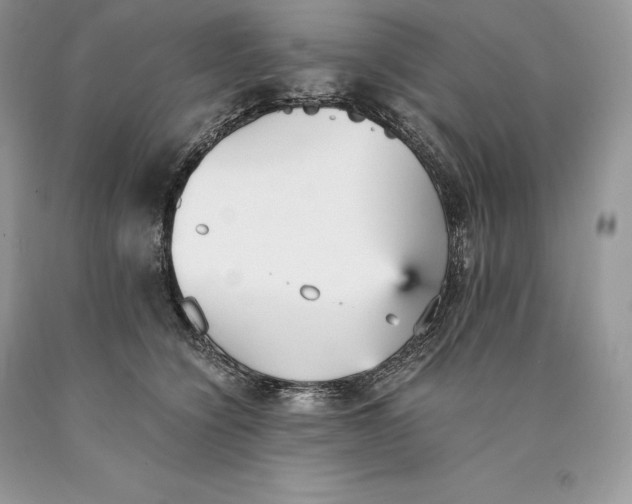 X0000089930564200707201843