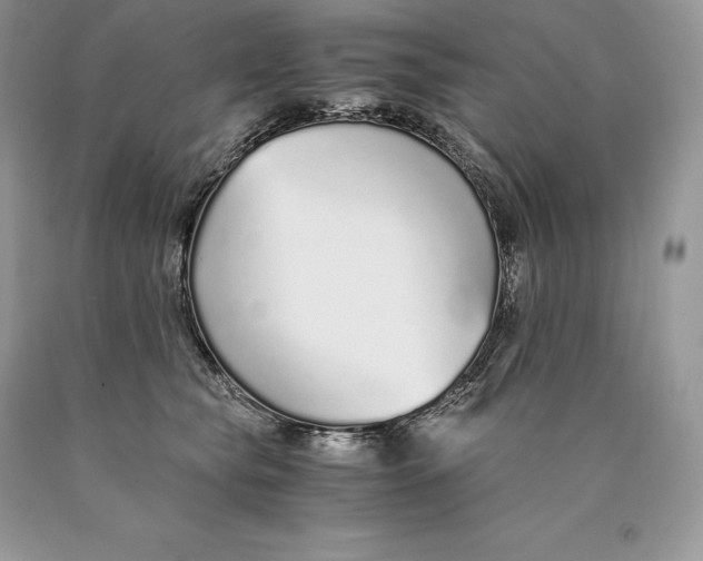 X0000089930565200707201843