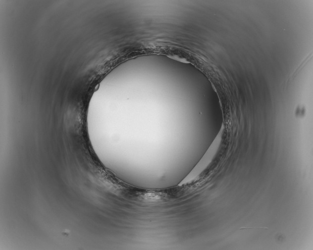 X0000089930566200707201843