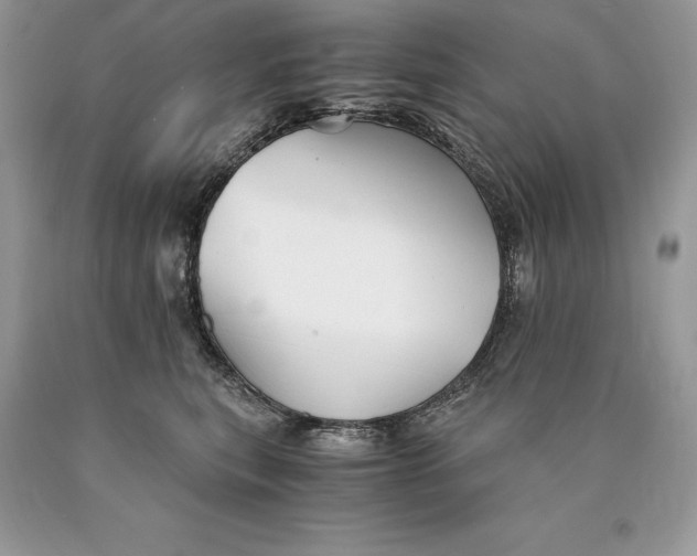 X0000089930567200707201843