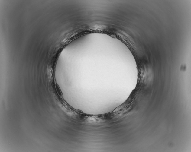 X0000089930568200707201843