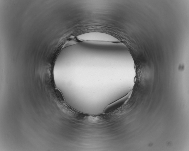 X0000089930570200707201843