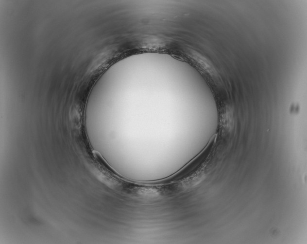 X0000089930572200707201843