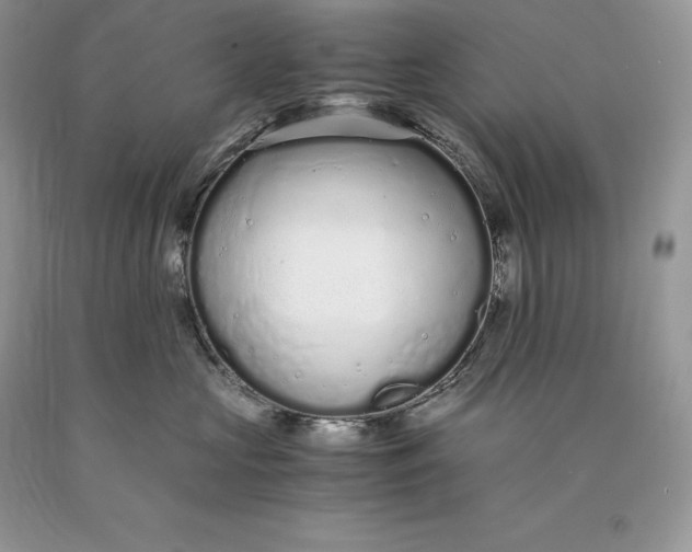 X0000089930573200707201843