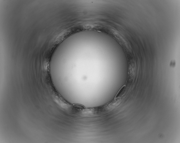 X0000089930574200707201843