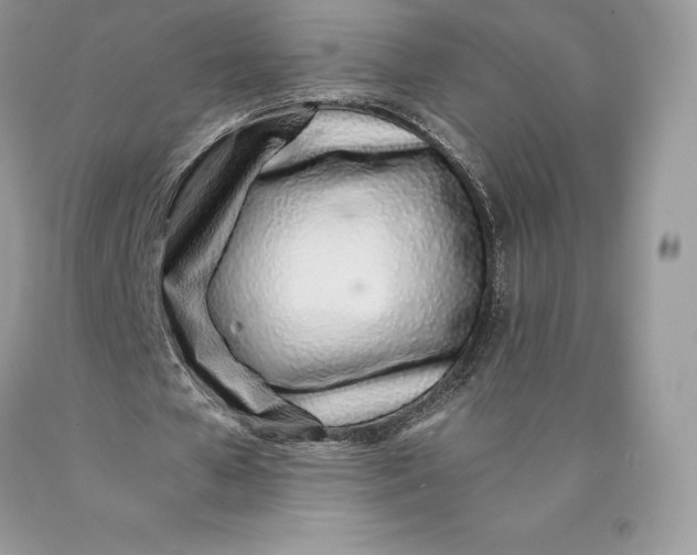 X0000089930577200707201842