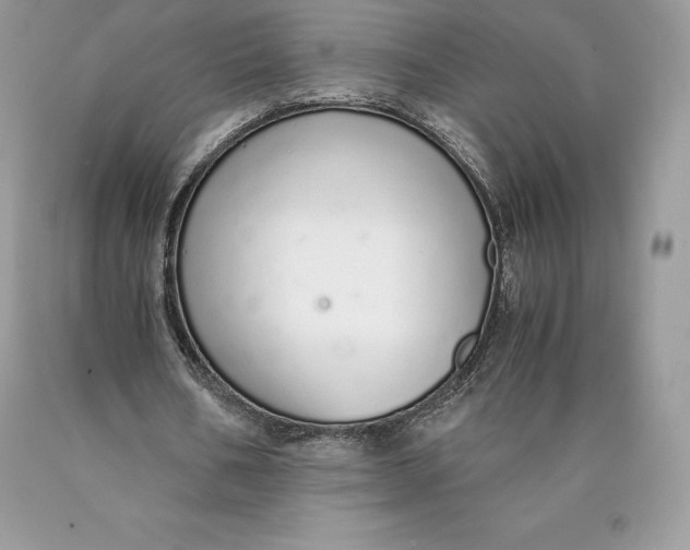 X0000089930578200707201842