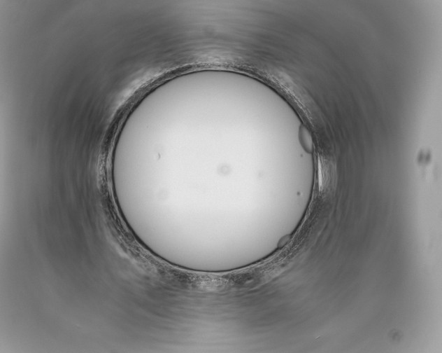 X0000089930579200707201842