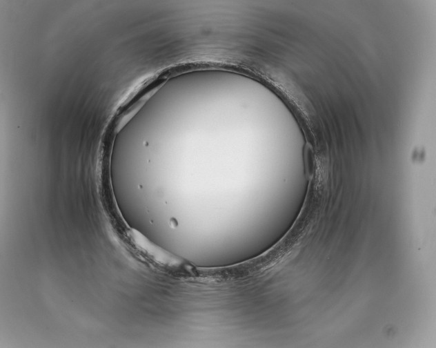 X0000089930580200707201842