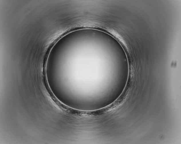 X0000089930581200707201842