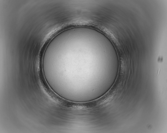 X0000089930582200707201842