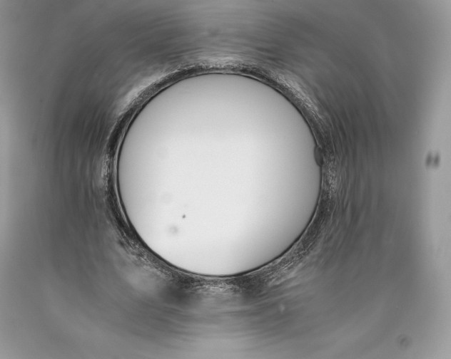 X0000089930583200707201842