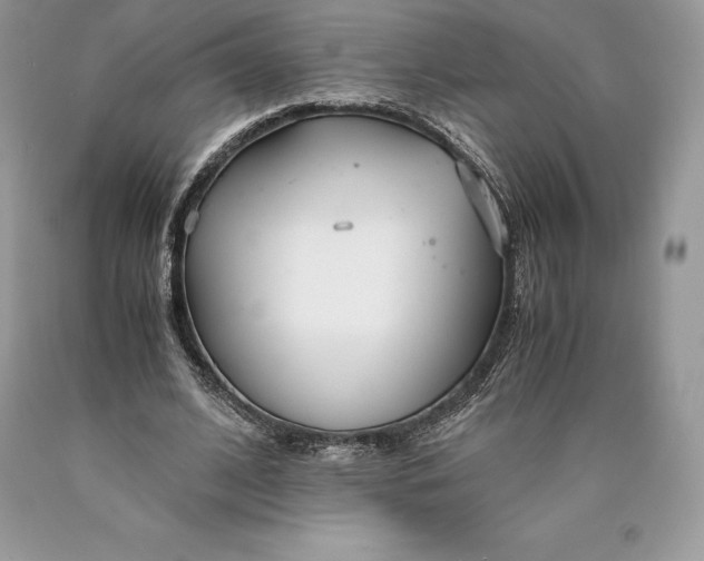 X0000089930584200707201842