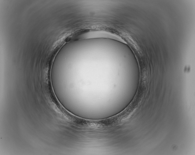 X0000089930585200707201842