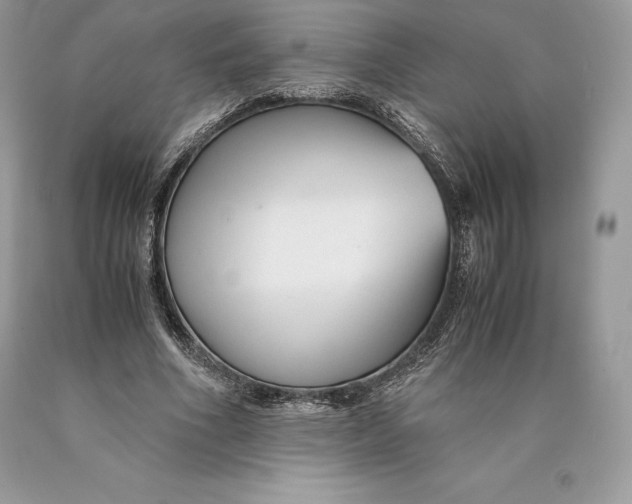 X0000089930586200707201842