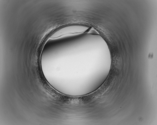 X0000089930587200707201842