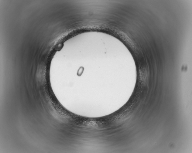 X0000089930588200707201842