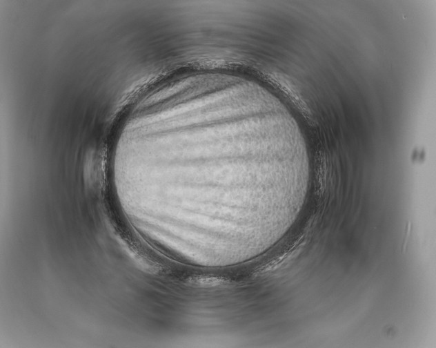 X0000089930590200707201842