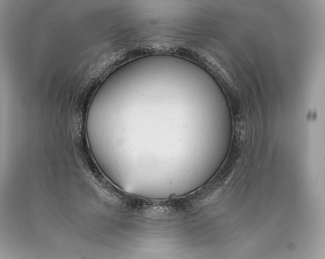 X0000089930593200707201842