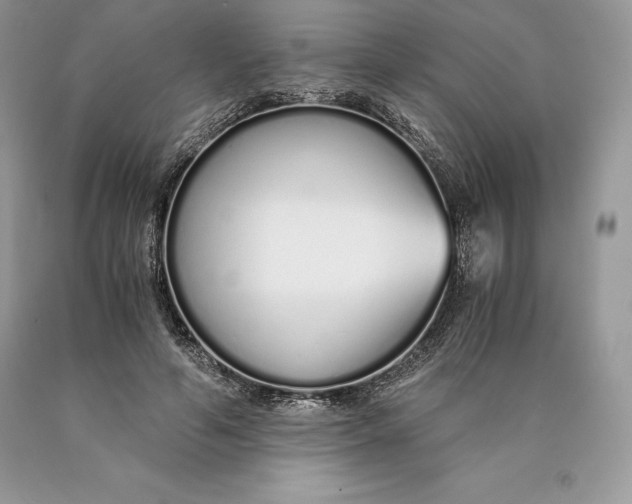 X0000089930594200707201842