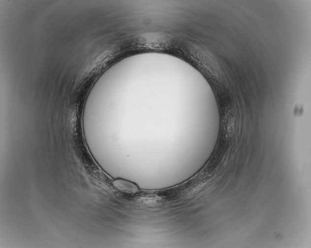 X0000089930595200707201842