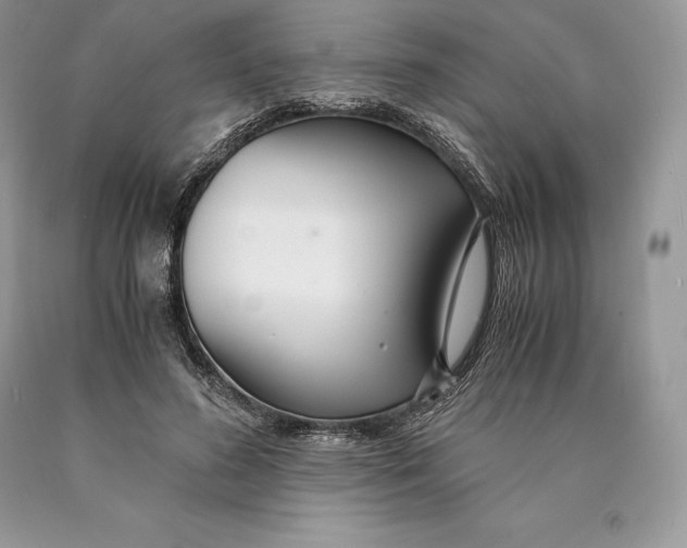 X0000089930596200707201842