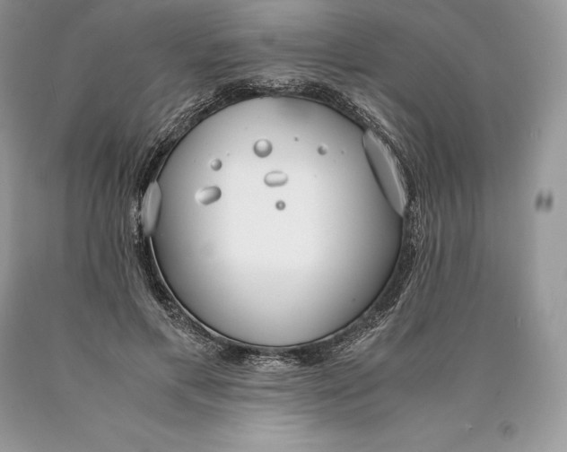 X0000089930597200707201842