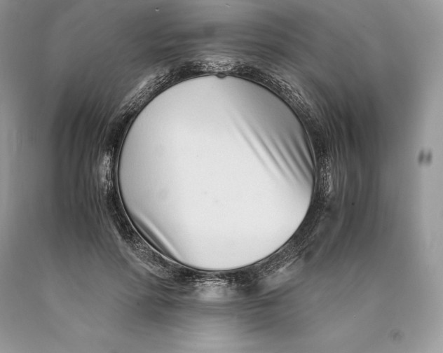 X0000089930598200707201842