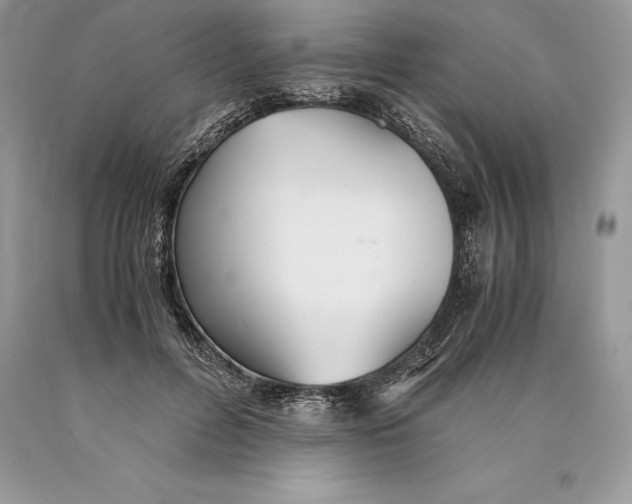 X0000089930600200707201842