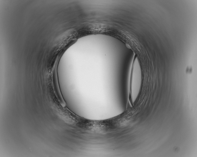 X0000089930601200707201842