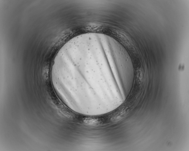 X0000089930602200707201842