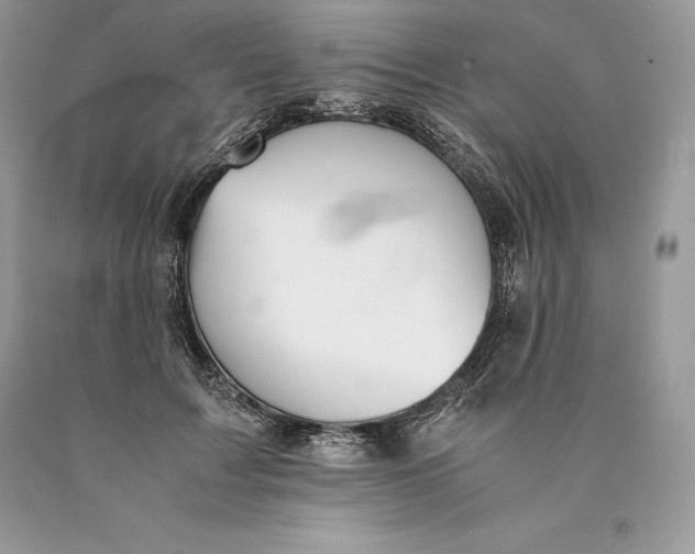 X0000089930603200707201842