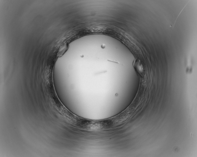 X0000089930604200707201842