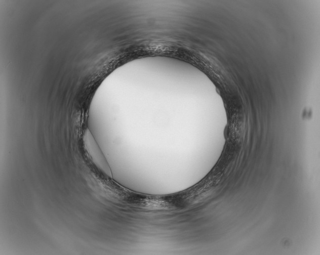 X0000089930605200707201842