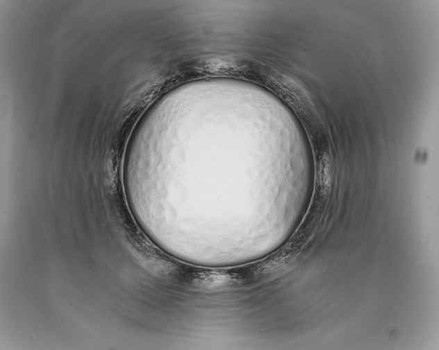 X0000089930607200707201842