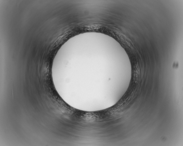 X0000089930608200707201842