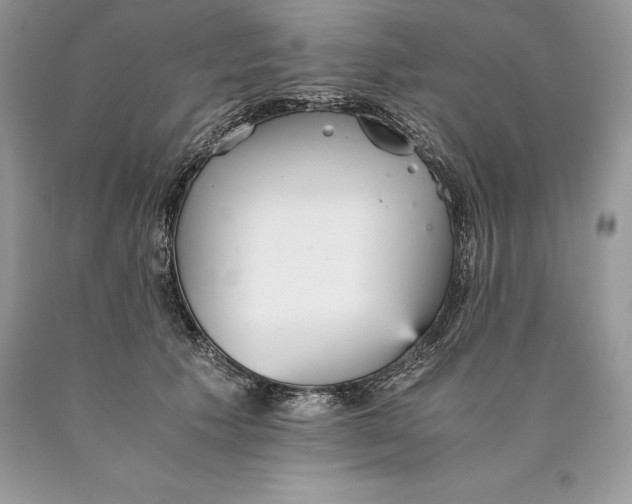 X0000089930609200707201842